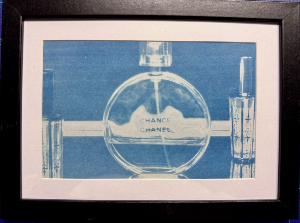 finished cyanotype