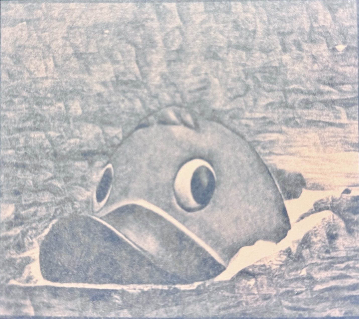ducking ships
2 of 11
2020'S