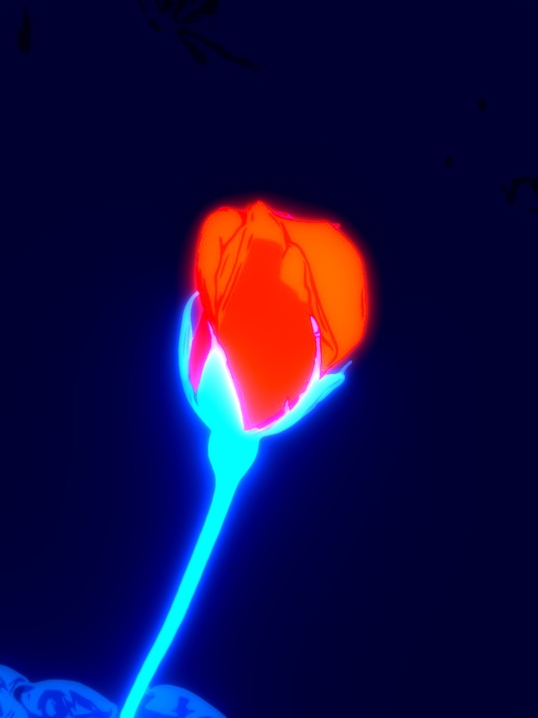 NEON ROSE
2010'S